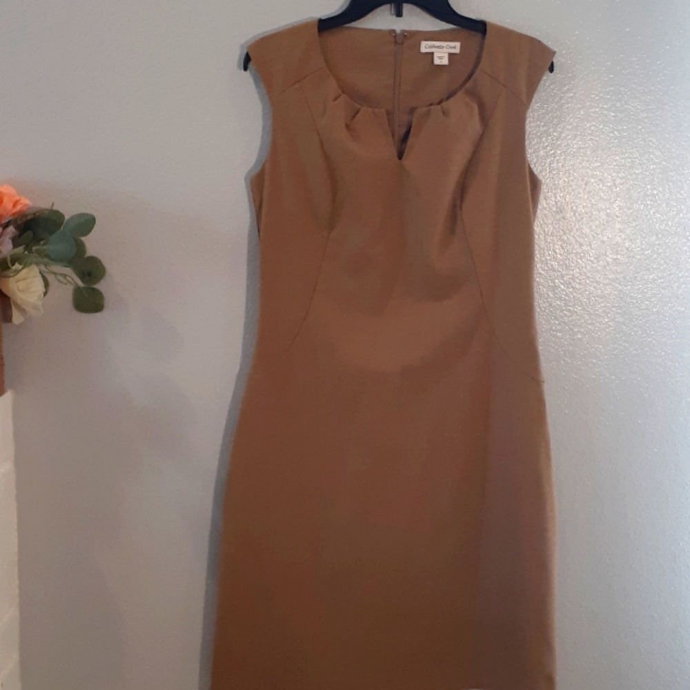 COLDWATER CREEK formal brown dress